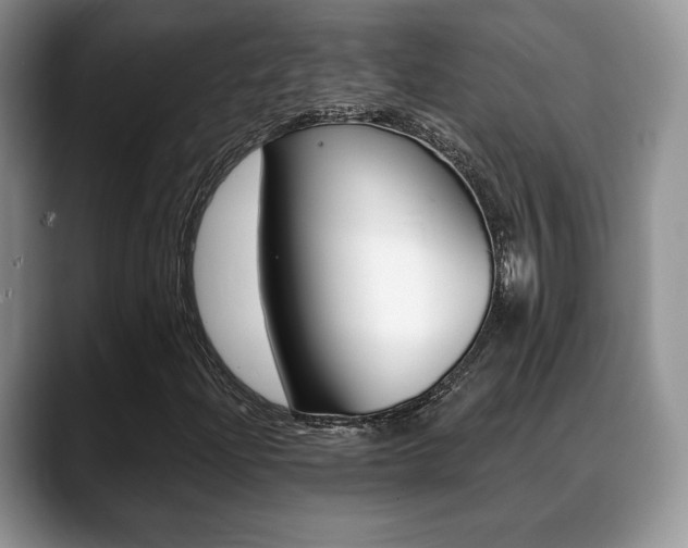 X0000088871204200706080714