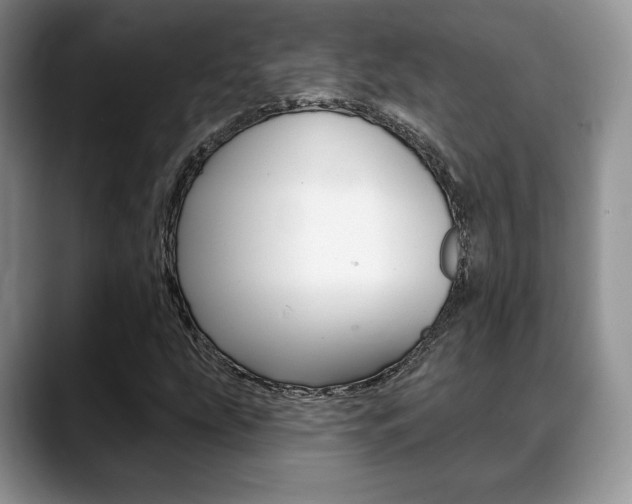 X0000088871207200706080714