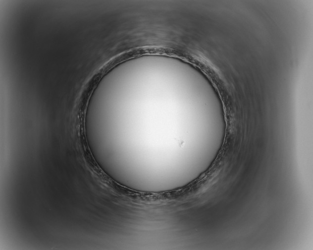 X0000088871208200706080714