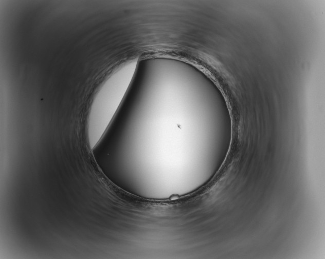 X0000088871209200706080714