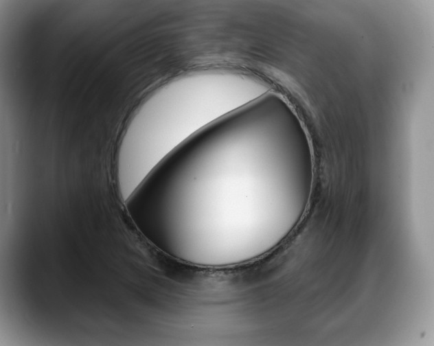 X0000088871217200706080714