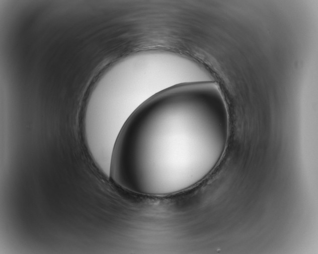 X0000088871218200706080714
