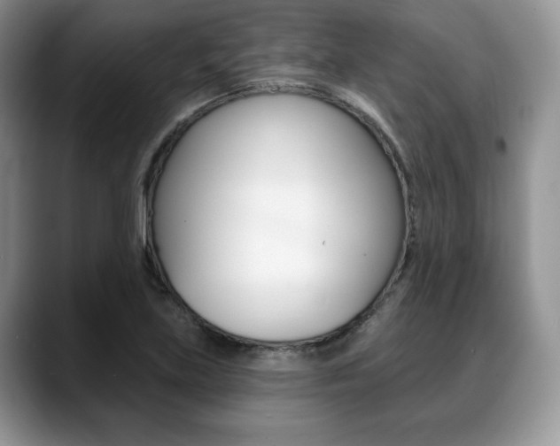 X0000088871219200706080714