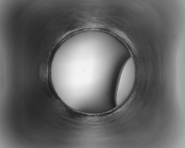 X0000088871220200706080714