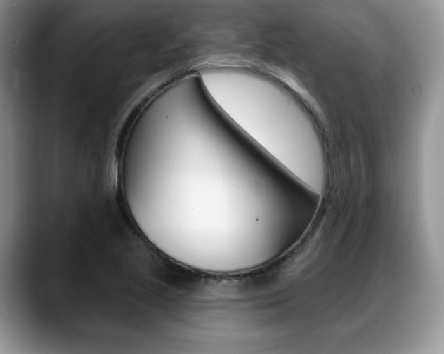 X0000088871221200706080714