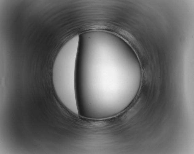 X0000088871225200706080714