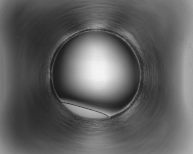 X0000088871226200706080714