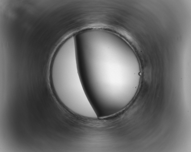 X0000088871229200706080714