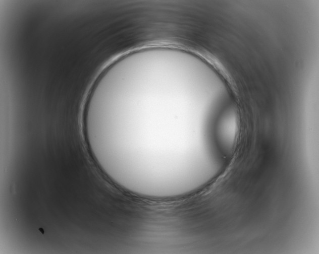 X0000088871230200706080714