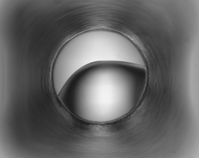 X0000088871234200706080714