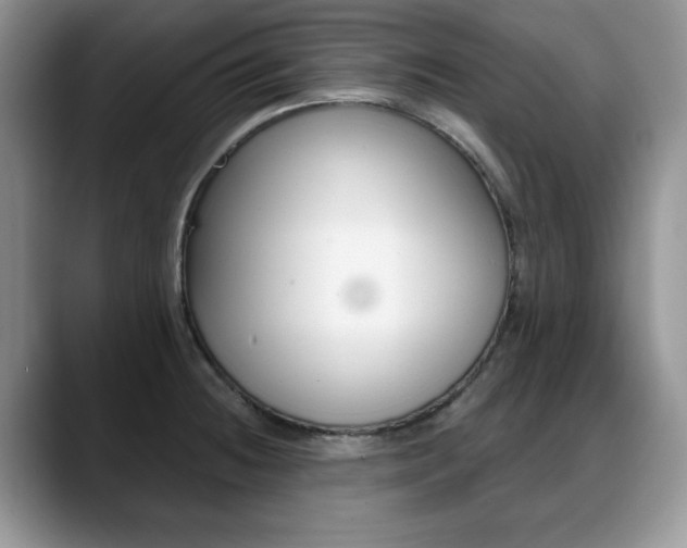 X0000088871236200706080714