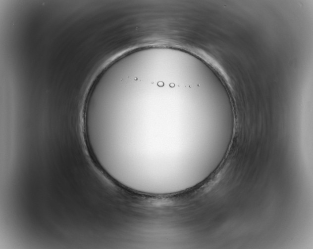 X0000088871239200706080714