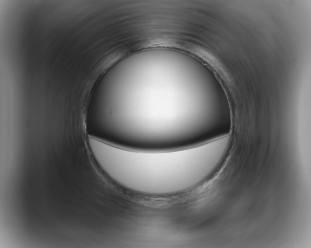 X0000088871241200706080714