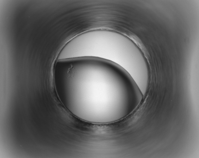 X0000088871242200706080714