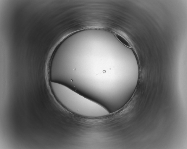 X0000088871243200706080714
