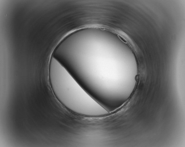 X0000088871244200706080714