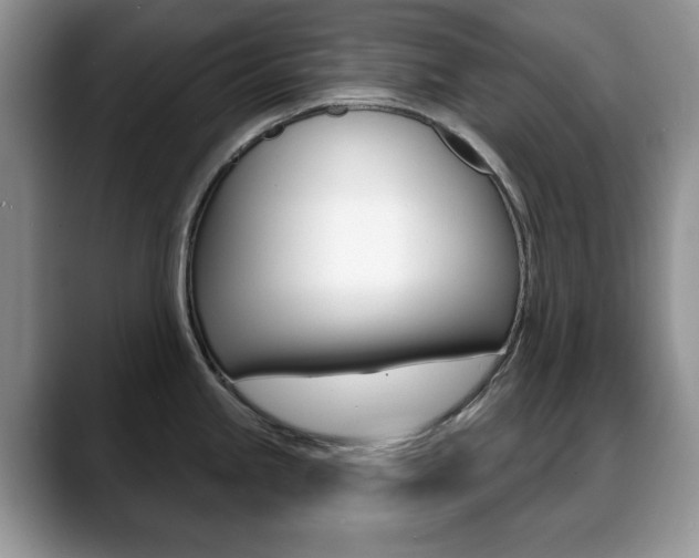X0000088871245200706080714
