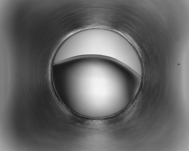 X0000088871246200706080714