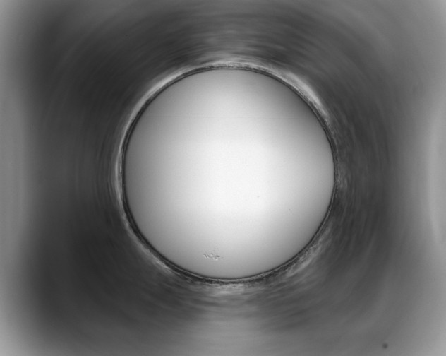 X0000088871247200706080714