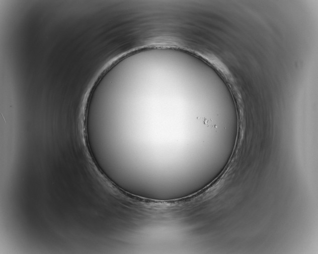 X0000088871248200706080714