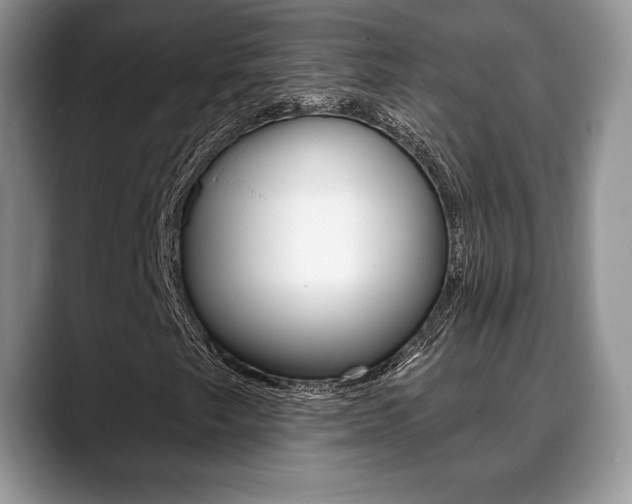 X0000088871249200706080714