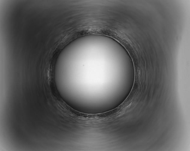 X0000088871250200706080714