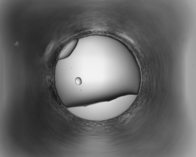 X0000088871255200706080714