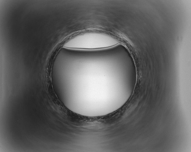 X0000088871256200706080714