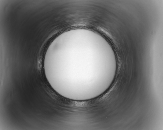 X0000088871258200706080714