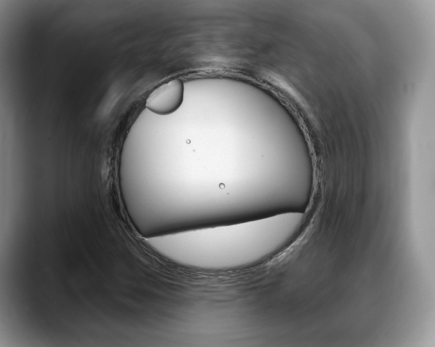X0000088871259200706080714
