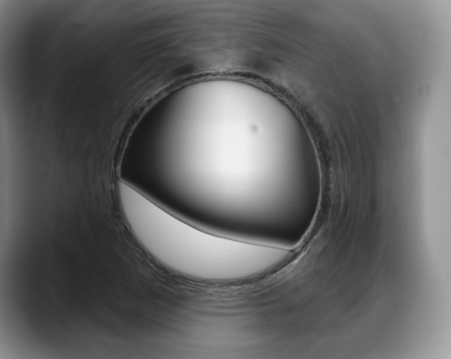 X0000088871265200706080714