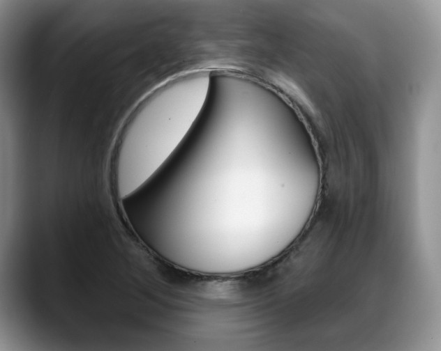 X0000088871268200706080714