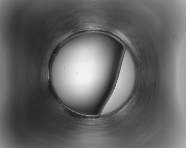 X0000088871269200706080714