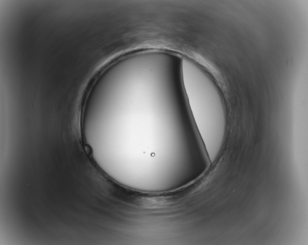 X0000088871272200706080714