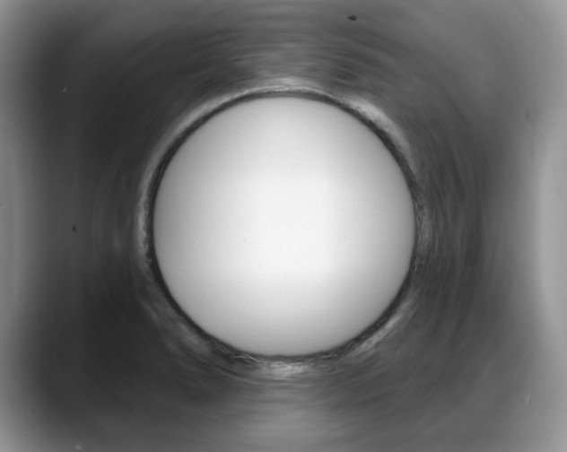 X0000088871278200706080713
