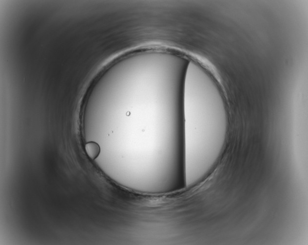 X0000088871279200706080713
