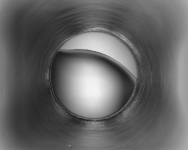 X0000088871281200706080713