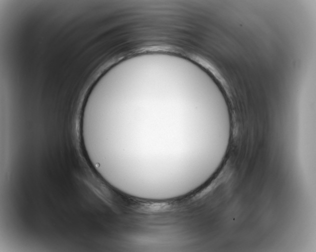 X0000088871282200706080713
