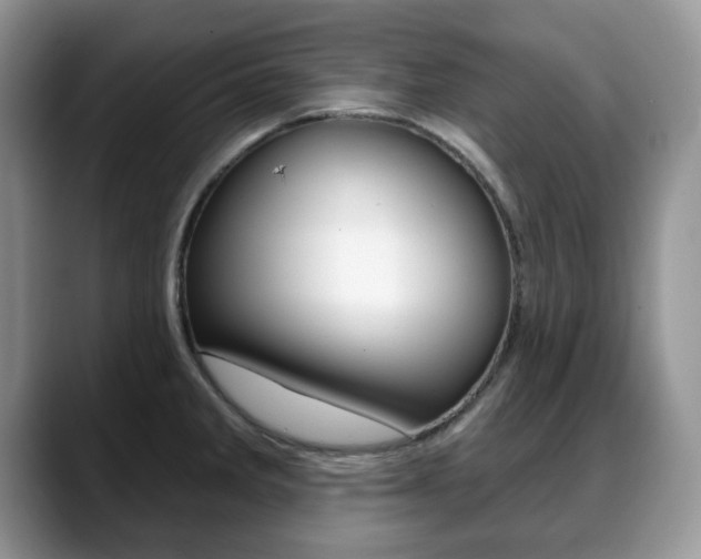 X0000088871285200706080713