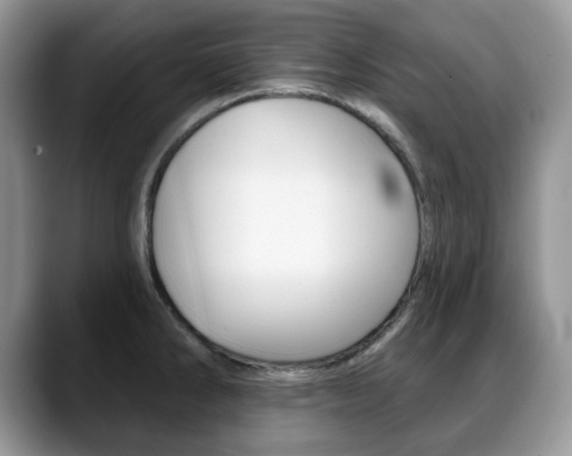 X0000088871286200706080713