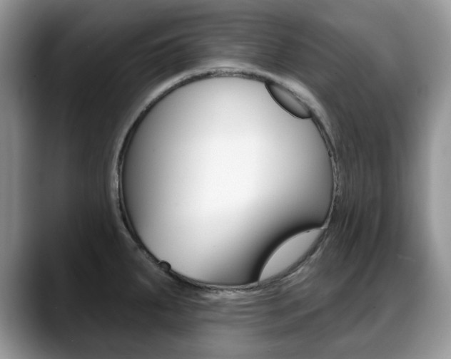 X0000088871287200706080713