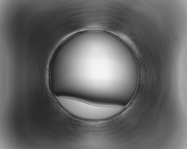 X0000088871288200706080713