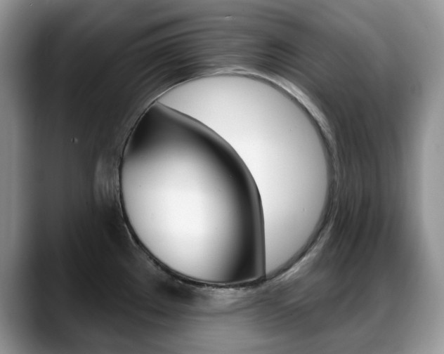 X0000088871289200706080713