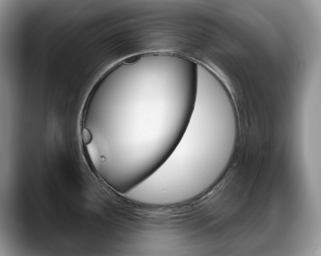 X0000088871291200706080713
