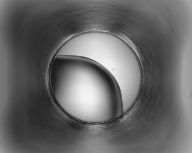 X0000088871293200706080713