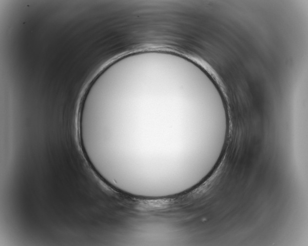 X0000088871294200706080713