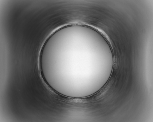 X0000088871295200706080713