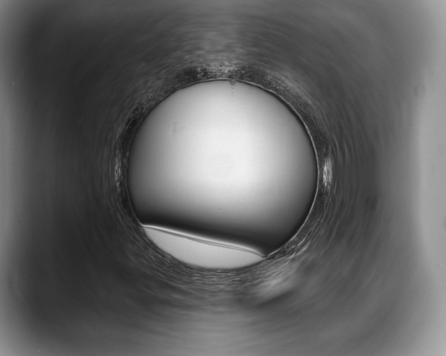 X0000088871299200706080713