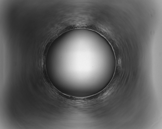 X0000088871300200706080713