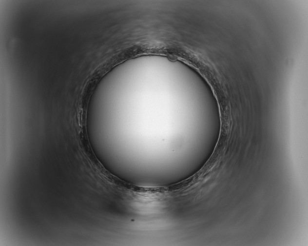 X0000088871301200706080713